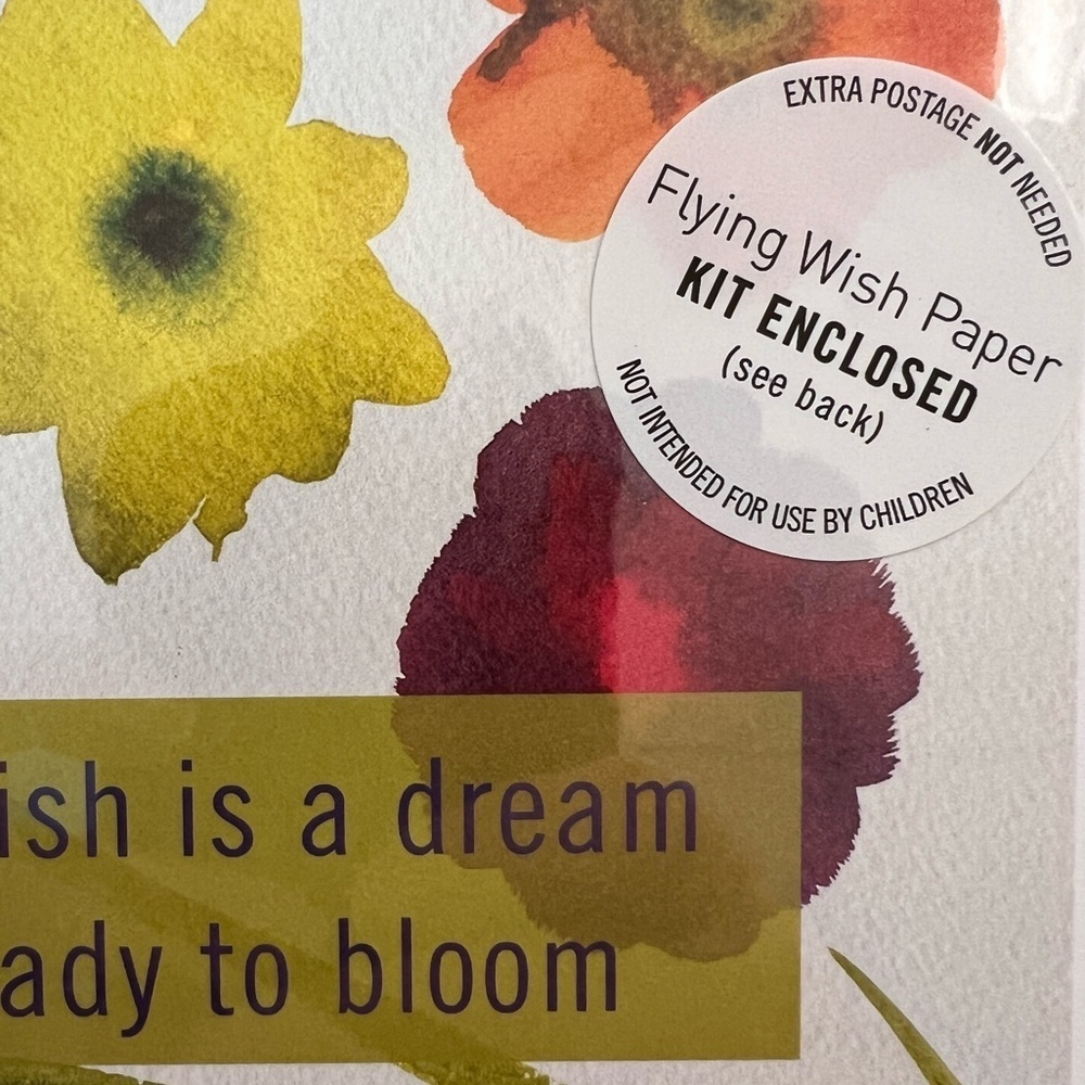 Flying Wish Paper "A Wish Is a Dream Ready to Bloom" Greeting Card Kit - Picture 3 of 6
